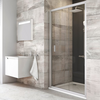Shower door BLDP2-120 bright alu+glass Grape, Цвет: Хром, Ширина: 120, Тип стекла: Grape (Матовое стекло)