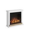 Elektrokamīns ar portālu TAGU HAGEN WHITE 23", Citas krāsas: 710 / balts