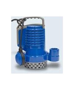 Zenit Sūknis DR BLUE P 50-2-G32V (1094.003) 0,37kW 230V