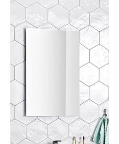 Galvano Veidrodis ALTERNA Milano 60x80