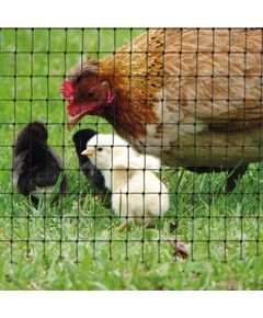 Pret kurmju tīkls TENAX AVIARY 50 g/m2  2 x 200m