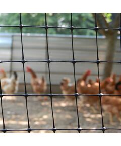 CINTOFLEX M siets 1x10m