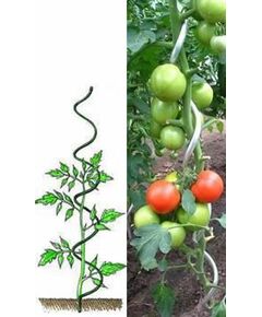 Atbalsta miets augiem, spirālveida 180cm/11mm