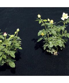 Agroplēve mulčēšanai FULL COVER 1,80x3 m