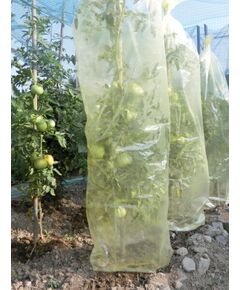 MR. TOMATO 0,60 x 10m, Pasargājoša cauruļveida plēve, kas paredzēta tomātu audzēšanai