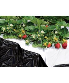 Melnbaltā plēve BLACK & WHITE COVER 1.40x10 m