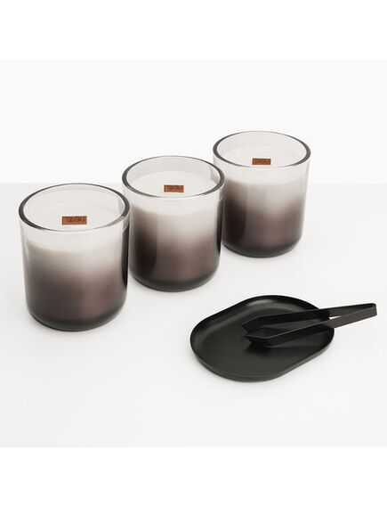 TAGU ZenFlame kurtuve, 5 image