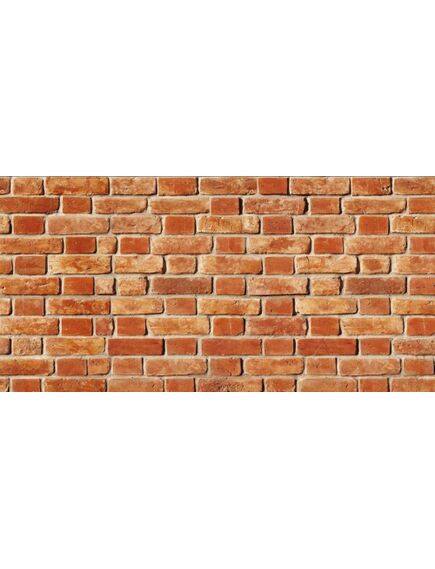 Dekoratīvais sienas apdares panelis MATTONI 500x1000mm, 3 image