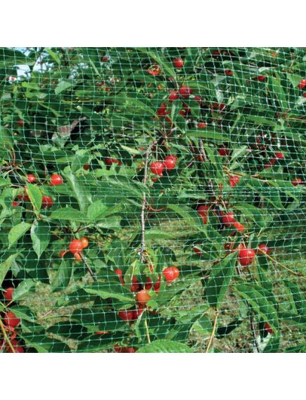 Pret putnu siets ORTOFLEX 4x10m