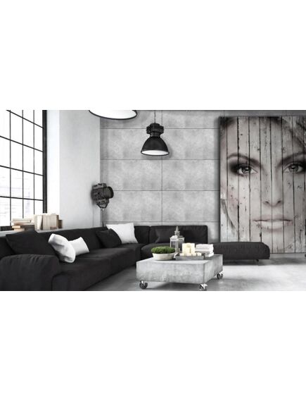 Dekoratīvais sienas apdares panelis INDUSTRIAL 500x1000mm, 2 image