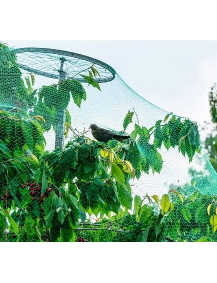 Pret putnu tīkls 19 x 19 mm 4m platumā, 3 image