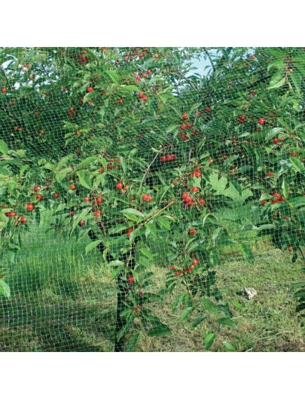 Pret putnu siets ORTOFLEX 4x5m, 3 image