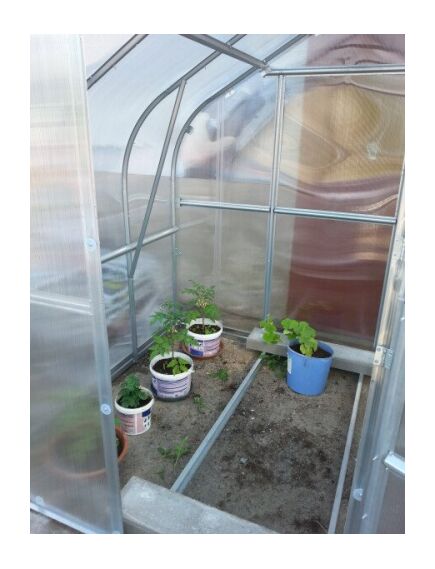 Siltumnīca KLASIKA STANDART 5 - 2,5x2m ar pamatiem un 4mm polikarbonāta pārklājumu; 4779037490516, 3 image