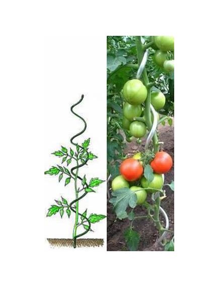 Atbalsta miets augiem, spirālveida 120cm/11mm, 3 image