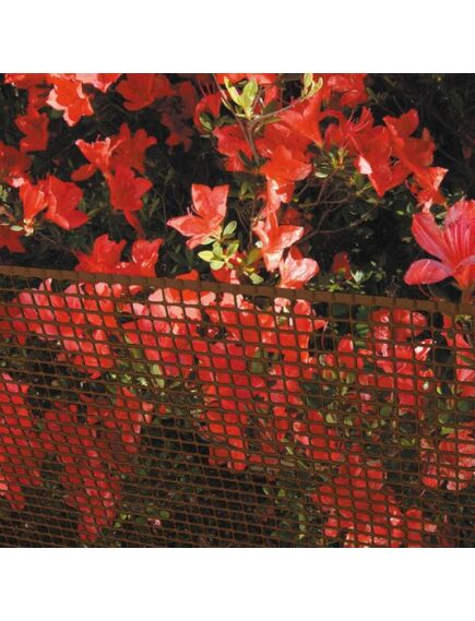 QUADRA 10 - Plastmasas aizsargsiets brūns, 1x5m, 3 image