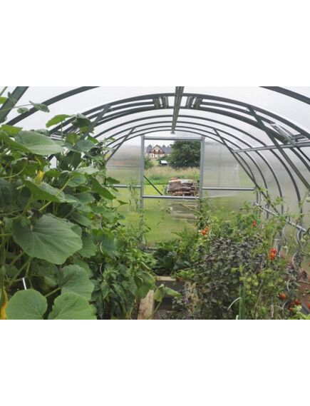 Siltumnīca KLASIKA 24 (3x8m) ar pamatiem un 4mm polikarbonāta pārklājumu; 4779037490233, 3 image