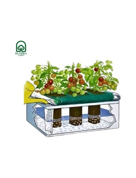 Dārzeņu audzēšanas kastes komplekts KLASIKA GARDEN BASIC, 3 image