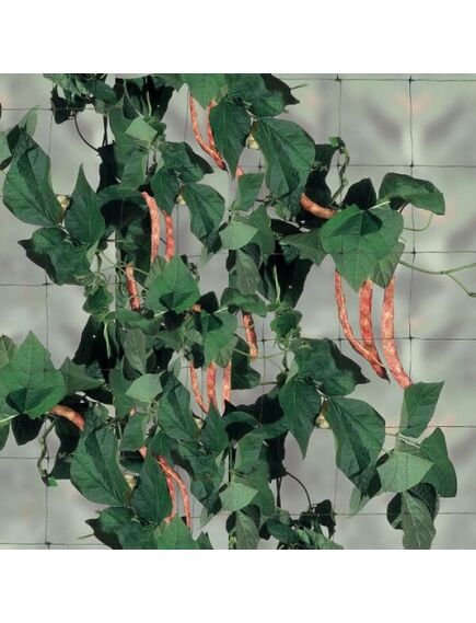 FLORA Dārzeņu atbalsta tīkls, Zaļš 1,50 x 10 m, 2 image