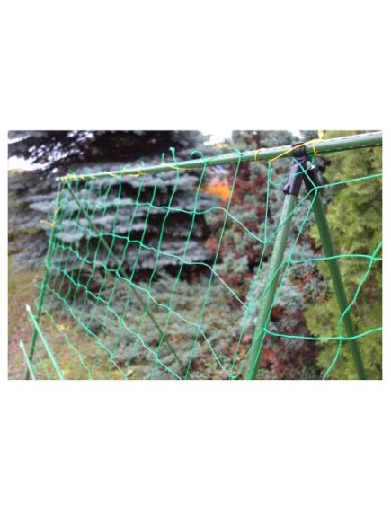 Tīkls augiem 1,8x2,7m, 2 image