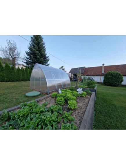 Siltumnīca KLASIKA ARROW 3x8m (24m2) ar 4mm polikarbonāta pārklājumu