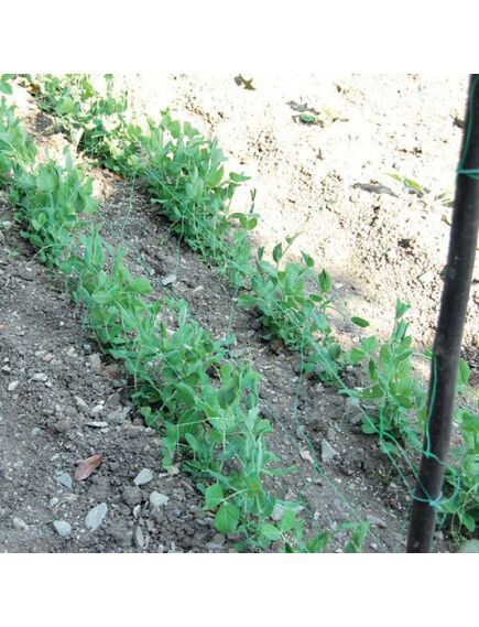 FLORA Dārzeņu atbalsta tīkls, Zaļš 1,50 x 10 m, 3 image