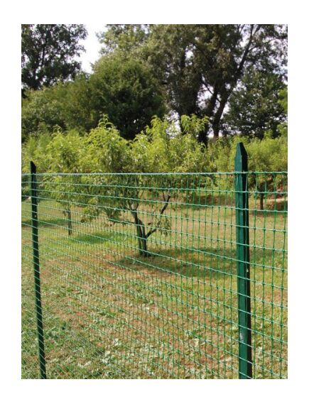 RANCH plastmasas žogs, 2.00 x 50 m, zaļš, 3 image