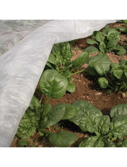 Agroplēve 30 g/m2 ORTOCLIMA PLUS 1,60 x 10m balta, 2 image