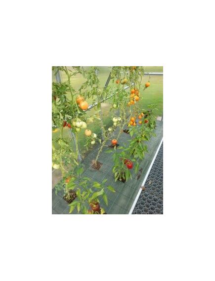 Agrotekstils PP 100 g/m2; 1.05x25m (26.25 m2);, 3 image