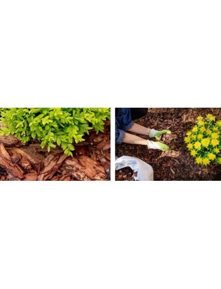 Agroplēve 50 g/m², Melna 1,6 x 100 m, 2 image