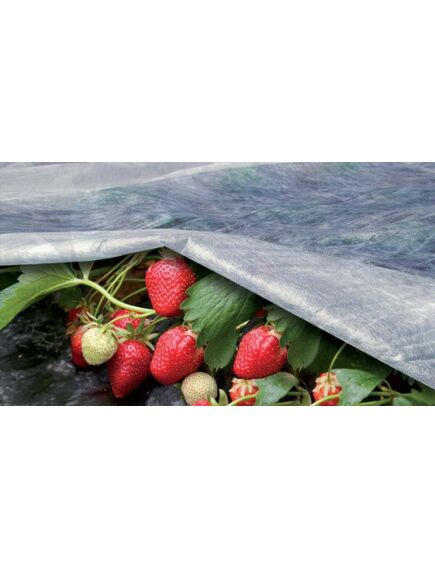 Agroplēve 17 g/m2 ORTOCLIMA 1.60x10m balta