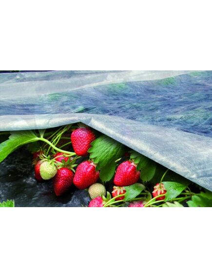 Agroplēve 17 g/m2 ORTOCLIMA 1.60x5m balta, 2 image