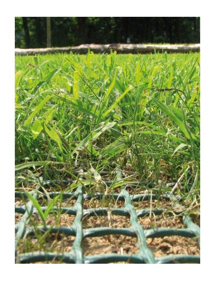 Армирующая сетка для газонов TR FLEX (2x30 м), изображение 3