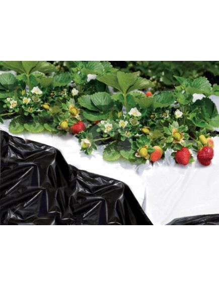 BLACK & WHITE COVER 1.40x10 m