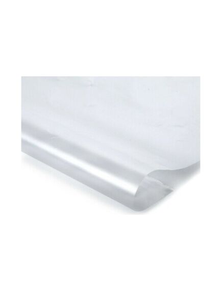 Caurspīdīga polietilēna plēve, platums 6m, biezums 100mkr, rullis 120m