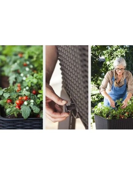 KETER EASY GROW augu kubls, brūns, 3 image