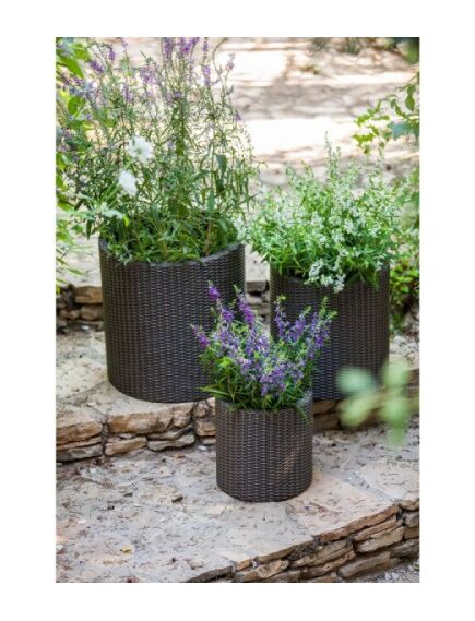 KETER S+M+L CYLINDER PLANTERS trīs puķu podu komplekts, brūns, 2 image