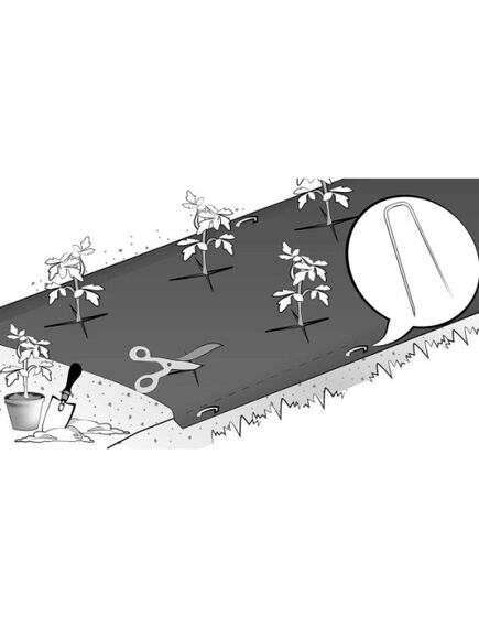 Agroplēve mulčēšanai FULL COVER 1,80x3 m, 3 image