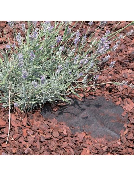 Agroplēve mulčēšanai FULL COVER 0,9x5 m, 3 image