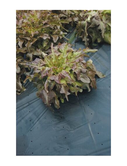 DOT COVER 1,5x5m, изображение 2