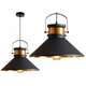 TooLight Griestu lampa ASTI B Melns / Zelts