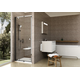 Shower door PDOP1-90 satin+glass Transparent