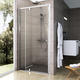Shower door PDOP2-100 satin+glass Transparent