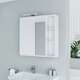 Зеркальный шкаф SV70-8 White Matte, изображение 2