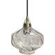 Toolight Lampa Wisząca APP1121-1CP
