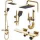Rea Sanitary Zestaw Natryskowy REA HELIX Złoty
