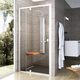 Shower door PDOP2-100 white/white + glass Transparent