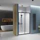 Dušas durvis bīdāmās Radaway Premium Pro Black DWJ 100cm R
