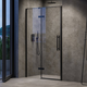 Shower door COSD2-100 black+glass Transparent